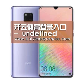 华为HUAWEI NOTE 8