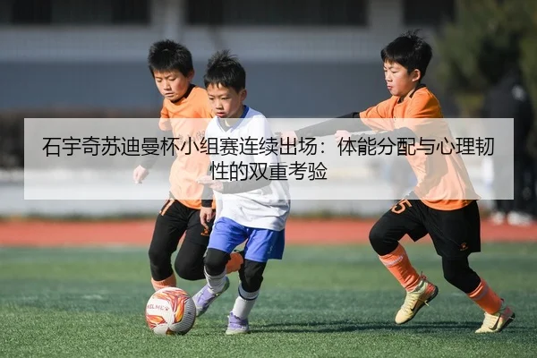 shi-yu-qi-su-di-man-bei-xiao-zu-sai-lian-xu-chu-chang-ti-neng-fen-pei-yu-xin-li-ren-xing-de-shuang-chong-kao-yan-2-463.jpg